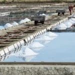 Man On Track At A Salt Production Site By A Lake