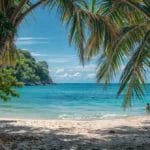 Two People On A Tropical Beach With Palm Trees And Turquoise Water.