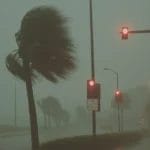 Stormy Urban Street With Palm Trees And Red Traffic Lights.