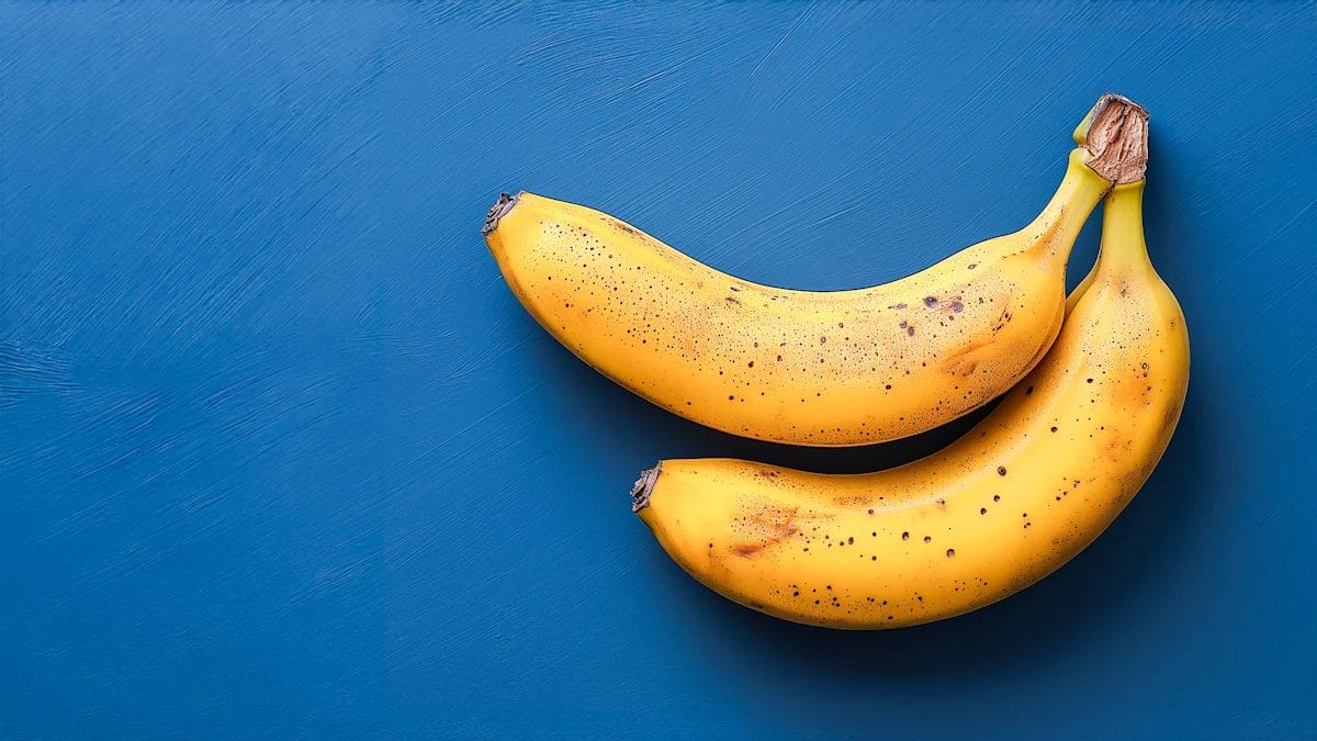 Two Ripe Bananas With Brown Spots On A Blue Background.